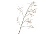 SILK HAZEL BRANCH LIGHT COFFEE 130CM