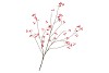 SILK BERRY BLOSSOM RED 135CM