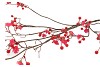 SILK BERRY BLOSSOM RED 135CM
