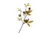 SILK CHESTNUT 97CM