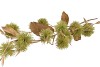 SILK CHESTNUT 106CM