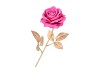 SILK ROSE GOLDIE FUCHSIA 75CM