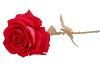 SILK ROSE GOLDIE BEAUTY 75CM