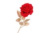 SILK ROSE GOLDIE RED 75CM