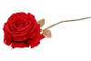 SILK ROSE GOLDIE RED 75CM