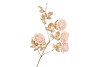 SILK ROSE GOLDIE 5X CREAM 116CM