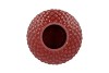 LINA SCOTTISH BROWN VASE ACORN 17X17X19CM NM