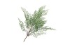 SILK FERN MAIDEN HAIR BRANCH GREEN SNOWY 76CM