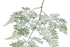 SILK FERN FOREST GREEN SNOWY 106CM NM