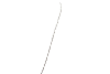SILK WILLOW CATKINS WHITE 152CM NM