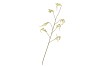 SILK BERRY BRANCH YELLOW 137CM