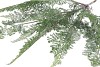 SILK FERN FOREST BRANCH GREEN SNOWY 76CM