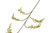 SILK BERRY BRANCH YELLOW 107CM