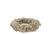 NATURE WREATH DRY WHITE MOSS 20CM NM