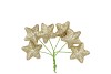 PICK SHINE STAR COZY GOLD 4X7CM P/96