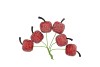 PICK SHINE APPLE JOLLY RED 3X7CM P/72
