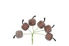 PICK SHINE APPLE SCOTTISH COPPER 3X7CM P/72