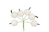 PICK SHINE APPLE COZY WHITE 3X7CM P/72