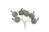 PICK SHINE APPLE MAJESTIC GREEN 3X7CM P/72
