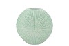 SHELLA GREEN VASE 23X8X23CM