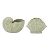 DION GREEN POT SNAIL ASS 19X14X13CM