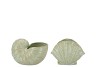 DION GREEN POT SNAIL ASS 16X12X11CM