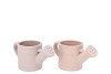 CHAI NATURAL POT CAN ASS 22X11X11CM