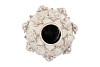 PEARL SEA WHITE VASE TURTLE 32X32X30CM NM