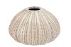 PEARL GREY VASE URCHIN 22X22X14CM NM