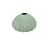 PEARL GREEN VASE URCHIN 10X10X6CM NM