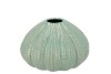 PEARL GREEN VASE URCHIN 16X16X10CM NM