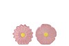 BLOOM OLD PINK VASE DAISY ASS 18X6X18CM