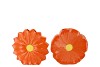 BLOOM ORANGE VASE DAISY ASS 30X9X30CM NM