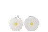 BLOOM WHITE VASE DAISY ASS 18X6X18CM