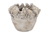 CONCRETE SPARROW GREY NEST 27X27X21CM NM