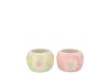 DEMI PASTEL FLOWER POT ASS 9X9X6CM