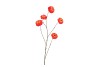 SILK ZINNIA RED 106CM