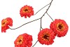 SILK ZINNIA RED 106CM