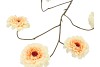SILK ZINNIA YELLOW 106CM