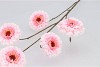 SILK ZINNIA PINK 106CM