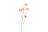 SILK ZINNIA PEACH 106CM