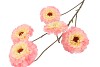 SILK ZINNIA PEACH 106CM