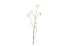 SILK ZINNIA WHITE 106CM