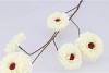 SILK ZINNIA WHITE 106CM