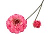 SILK ZINNIA FUCHSIA 54CM NM