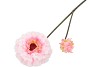 SILK ZINNIA PINK 54CM NM