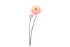SILK ZINNIA PEACH 54CM NM