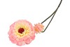 SILK ZINNIA PEACH 54CM NM