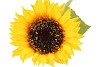 SILK SUNFLOWER YELLOW 45CM
