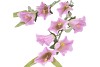 SILK BELLWORT LILAC SINGLE STEM 82CM NM